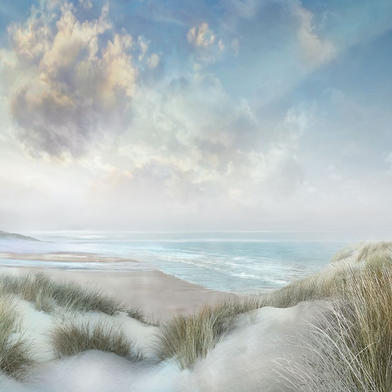 Windswept Poster Print by Mike Calascibetta - Item # VARPDX40300